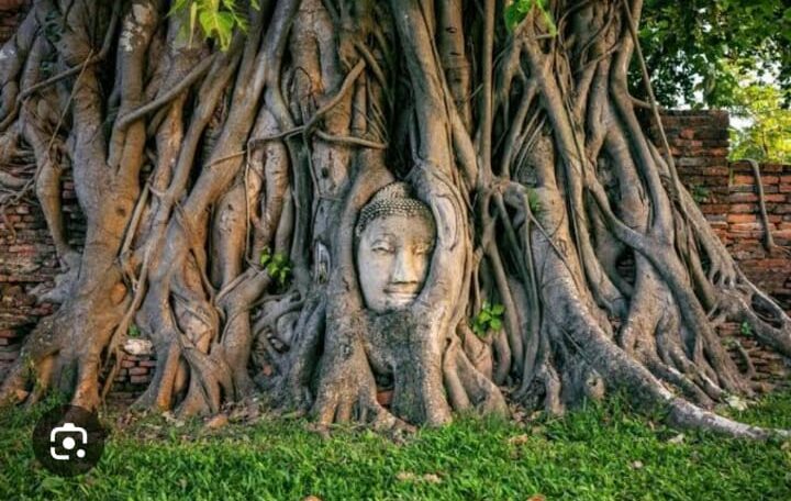 2 Wat Mahathat 2 Wat Mahathat