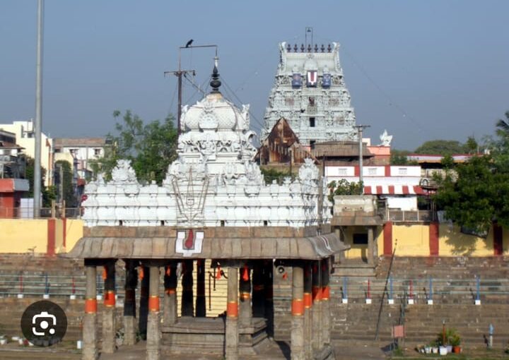 8 Parthasarathy Temple in Chennai
