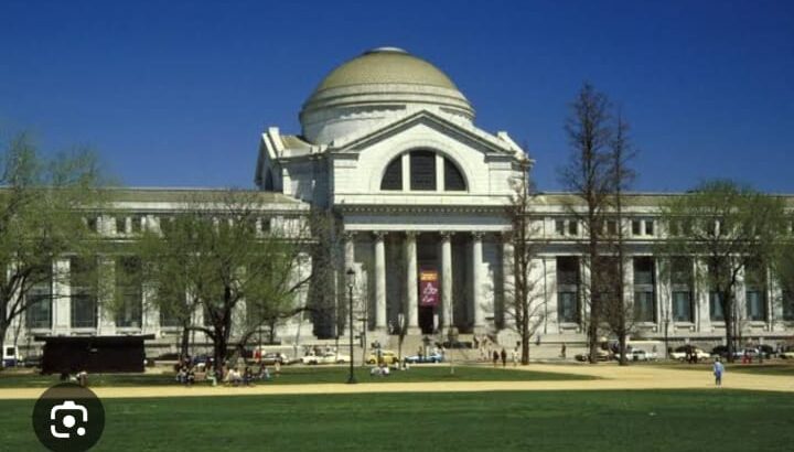 9 Smithsonian national museum of natural history 9 Smithsonian national museum of natural history