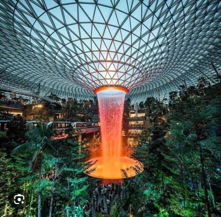 BIOMIMICRY BIOMIMICRY